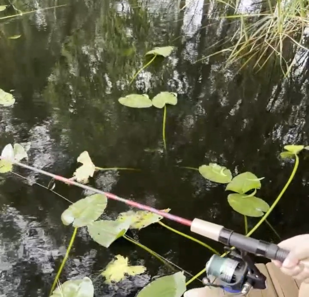 Blackfin Rods ~ Li'l Finz Rods & Combos
